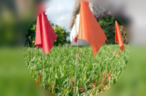 Marking Flags