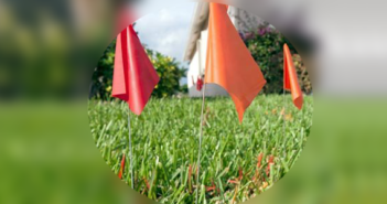 Marking Flags