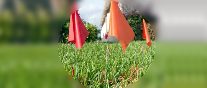 Marking Flags