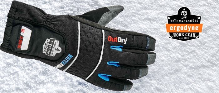 Ergodyne Gloves